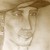 :iconggsulhan: