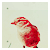 :iconghaley: