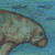:icongharial42: