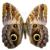 :iconghestgest: