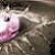 :iconghettopuff360: