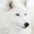 :iconghost-appears:
