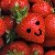 :iconghost-lilywhite: