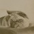 :iconghost-of-the-forest:
