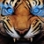 :iconghost-tiger: