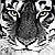 :iconghost2559: