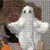 :iconghostgarden: