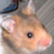 :iconghostgoth: