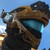 :iconghosthost100: