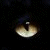 :iconghostinthedarkness: