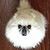 :iconghostofland: