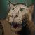 :iconghostpainter: