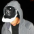 :iconghostrider93: