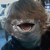 :iconghostvenom: