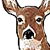 :iconghostwolfen: