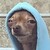:iconGhosty189: