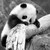 :icongiamizener:
