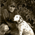 :iconGiampictures: