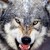 :icongiant-cheeseman: