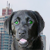 :icongiantzack: