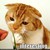 :icongibari90: