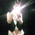 :iconGibber89: