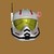 :icongibbsanimation: