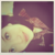 :icongibranco: