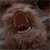 :icongidget-1369: