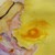 :icongifted2212: