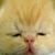:icongikn: