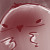 :icongilbird-beilschmidt: