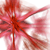 :icongilgahood: