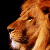:icongimme-shelterx: