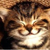:icongin2tails: