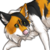 :iconginbearhound: