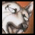 :icongingashack: