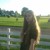 gingerbered :icongingerbered: