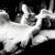 :icongingerhair: