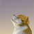 GingerPuppy1 :icongingerpuppy1: