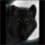 :icongingerwuff: