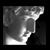 :icongingeryork:
