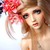 :iconginnyfromsilverland: