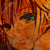 :icongintariux05: