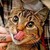 :icongioele-cassarino: