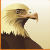 :icongiographics: