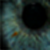 :icongippy420:
