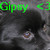 :icongipsyloveyou: