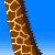 :icongiraffi: