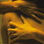 :icongirl-in-velveteen: